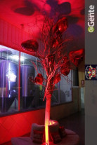 Dia dos namorados na Cantina Mato Grosso