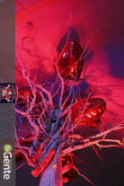 Dia dos namorados na Cantina Mato Grosso