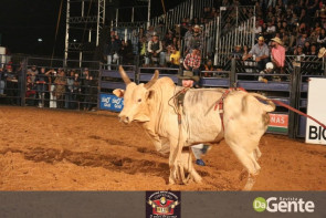 Abertura do Dourados Rodeio Festival foi um sucesso. Confira os Clicks