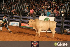 Abertura do Dourados Rodeio Festival foi um sucesso. Confira os Clicks