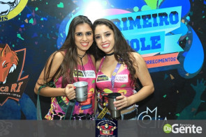 Confiram as fotos da festa 1º Gole