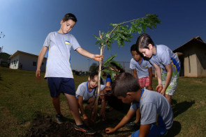 ​No dia da árvore, Parque Rego D'Água recebe plantio de mudas