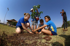 ​No dia da árvore, Parque Rego D'Água recebe plantio de mudas