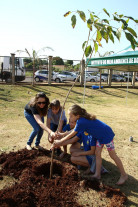 ​No dia da árvore, Parque Rego D'Água recebe plantio de mudas