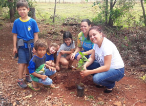 Escola Fazenda Miya recebe plantio de árvores e plantas ornamentais
