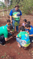 Escola Fazenda Miya recebe plantio de árvores e plantas ornamentais