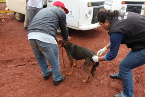 Ônibus Lilás presta atendimento  às mulheres na Aldeia Bororó