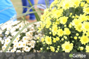 Associação dos Autistas da Grande Dourados realiza confraternização e ensaio fotográfico