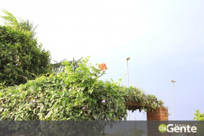 Associação dos Autistas da Grande Dourados realiza confraternização e ensaio fotográfico