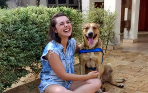 Noiva adota cachorro que deitou em seu véu na igreja