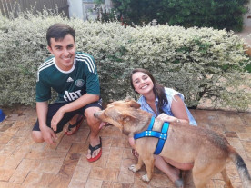 Noiva adota cachorro que deitou em seu véu na igreja