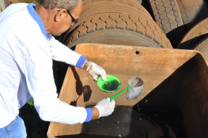 CCZ intensifica ações de combate ao Aedes aegypti