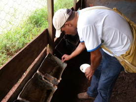 CCZ intensifica ações de combate ao Aedes aegypti