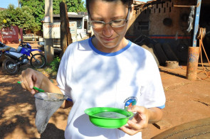 CCZ intensifica ações de combate ao Aedes aegypti