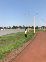 Imam faz plantio no entorno da pista de  caminhada do Parque Antenor Martins