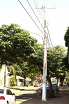 Reparos devido ao vandalismo chegam  a 30% da demanda do 'Disk Lâmpada'