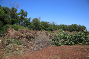 Imam disponibiliza caçambas para  descarte de resíduos de construção