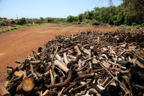 Imam disponibiliza caçambas para  descarte de resíduos de construção