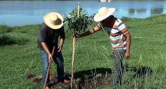 Plantio de mudas no entorno da pista de caminhada do parque Antenor Martins​