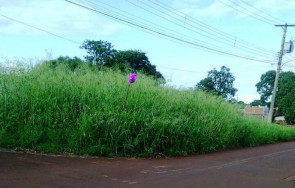 Semsur alerta proprietários sobre  limpeza de terrenos baldios