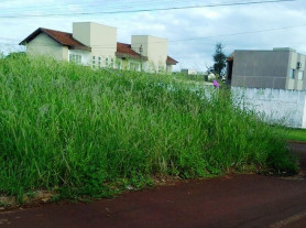 Semsur alerta proprietários sobre  limpeza de terrenos baldios