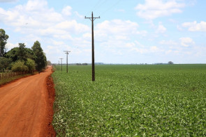 ​​​​​​​​Agricultura familiar cresce e se  consolida com atuação da Prefeitura