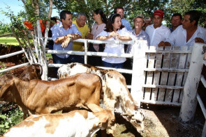 ​​​​​​​​Agricultura familiar cresce e se  consolida com atuação da Prefeitura