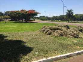 Semsur realiza mutirão de serviços em vias e parques