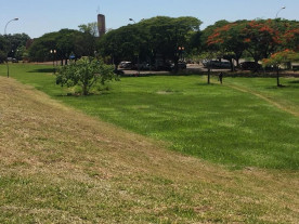 Semsur realiza mutirão de serviços em vias e parques