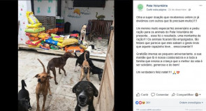 Criança pede ração como presente de aniversário e doa para abrigo em Maceió