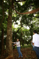 ​Semsur e Imam fazem a limpeza e revitalização da feira livre e do bosque