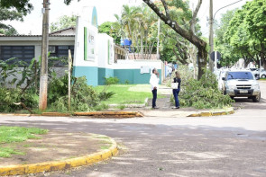 Semsur notifica Energisa para  que recolha galhos após podas