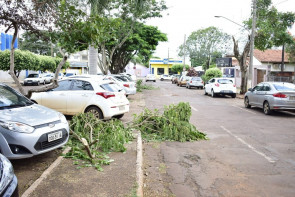 Semsur notifica Energisa para  que recolha galhos após podas