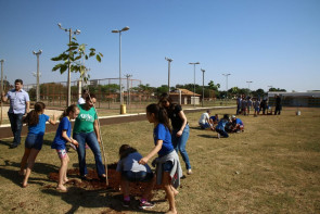 Referência em MS, Imam doou  mais de 7 mil mudas em 2017