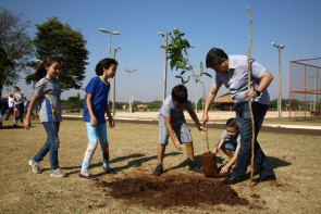 Referência em MS, Imam doou  mais de 7 mil mudas em 2017