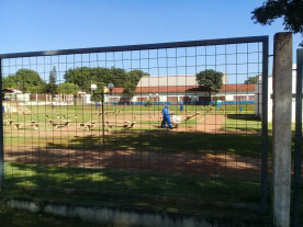 Semsur e Semop mantêm ação de limpeza em Itahum