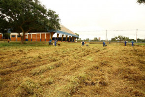 Semsur já retirou 80 toneladas  de lixo e entulho das escolas