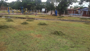 Semsur segue com podas, limpeza e  reparos na iluminação em Dourados