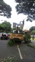 Semsur segue com podas, limpeza e  reparos na iluminação em Dourados