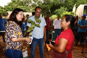 Prefeitura de Dourados lança projeto  Terra Produtiva na Reserva Indígena