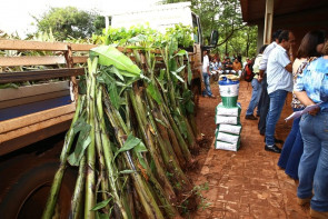 Prefeitura de Dourados lança projeto  Terra Produtiva na Reserva Indígena