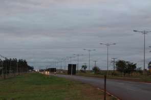 Plantio  de mudas na Avenida Guaicurus