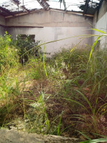 Prefeitura faz mutirão de limpeza em sede da Guarda Mirim