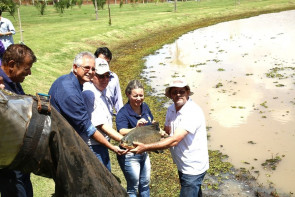 Duas toneladas de peixe foram soltas  nos lagos do Rego D’Água