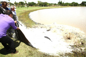 Duas toneladas de peixe foram soltas  nos lagos do Rego D’Água