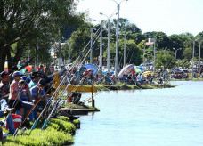 Duas toneladas de peixes foram soltas nos lagos do Parque Rego D'Água na terça, visando à festa que começa semana que vem