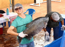 Venda de peixe fresco é um dos pontos altos da festa que chega à 14ª edição em 2018