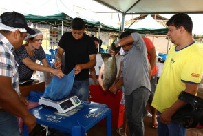 Festa do Peixe ainda tem peixe para vender