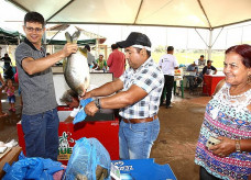 Venda de pescado na Festa do Peixe