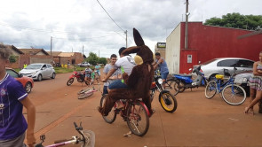 Radialista se veste de coelho e alegra crianças e adultos em bairro e UPA de Dourados
